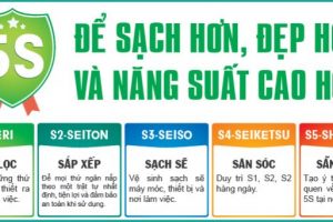 (Tiếng Việt) Quy trình 5S (Sàng lọc; Sắp xếp; Sạch sẽ; Săn sóc; Sẵng sàng) – 3D Vina